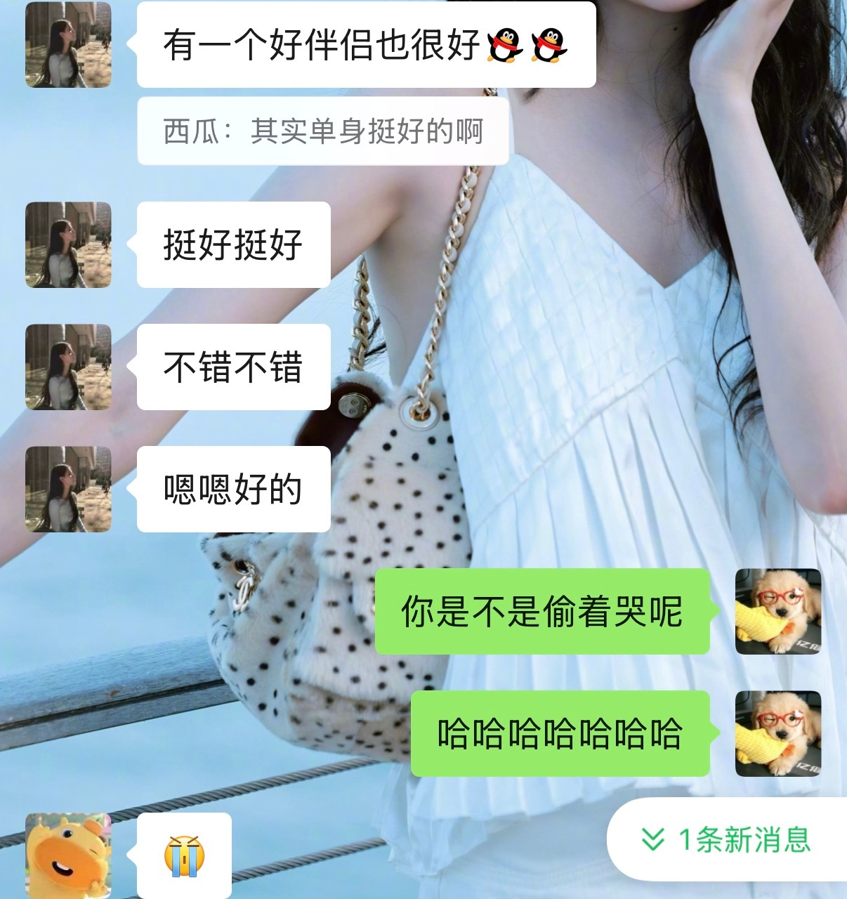 全网给征婚 呸 找对象 