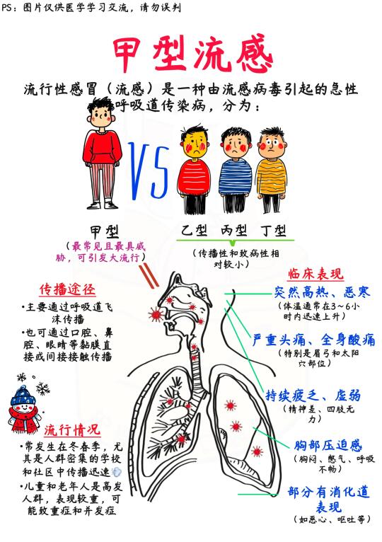 📒医学生笔记｜流感🆚感冒，别再傻傻分不清！