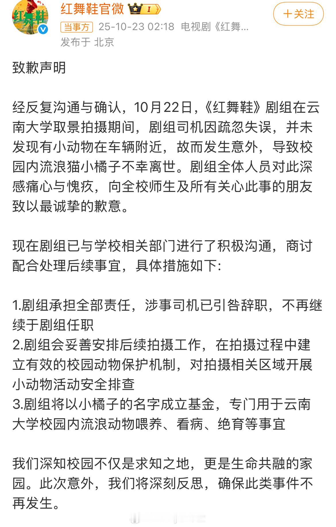 曝红舞鞋剧组开快车撞死猫，凌晨红舞鞋剧组道歉，评论翻车！网友说猫咪是大家共同养的