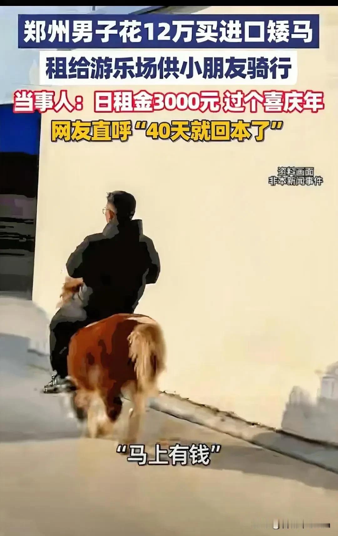 河南郑州，男子花12万买了一匹小矮马，趁过年租给一家游乐场，租金3000元。记者