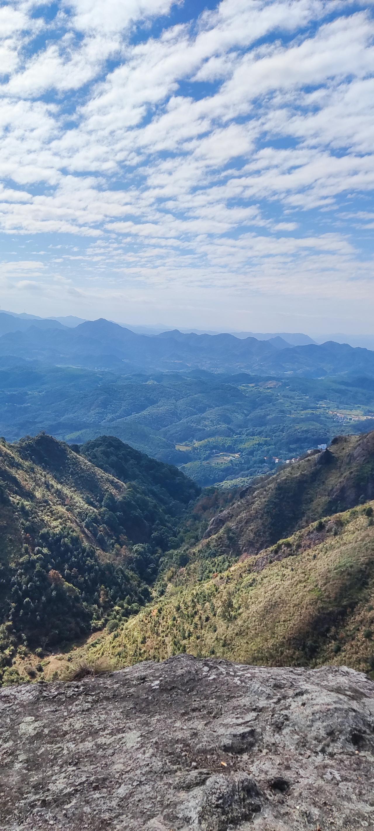 动物“跨界”再就业，萌翻你的朋友圈！

在这个充满奇趣的世界里，动物们不仅仅是我
