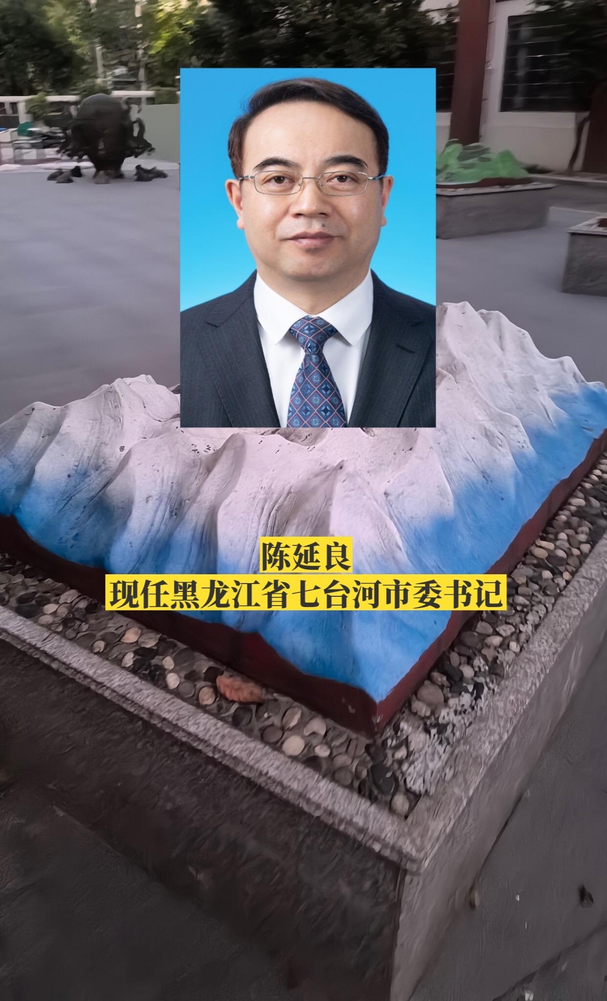 黑龙江七台河市领导。