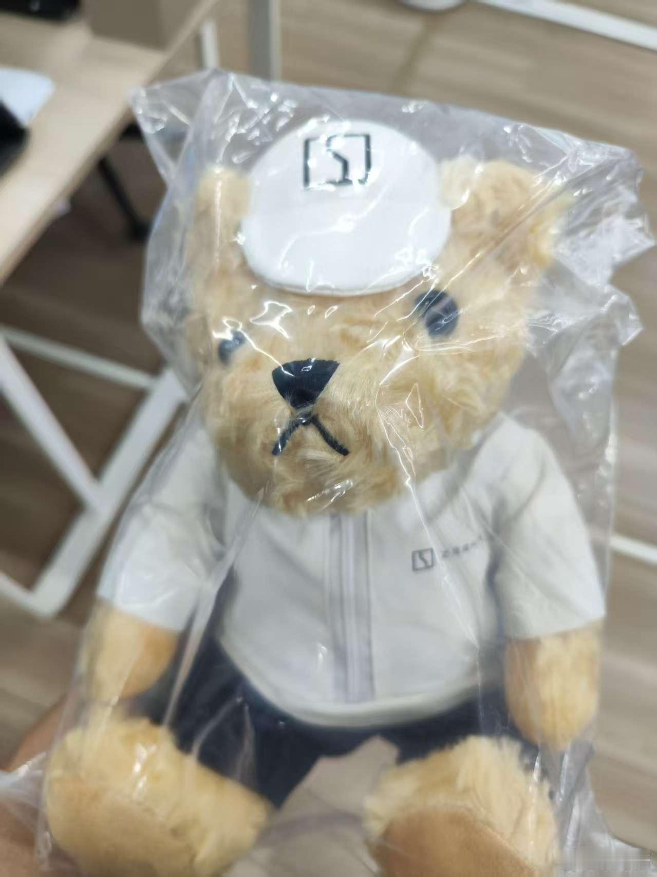 极氪和mini来我司园区搞活动，整了个极氪熊 