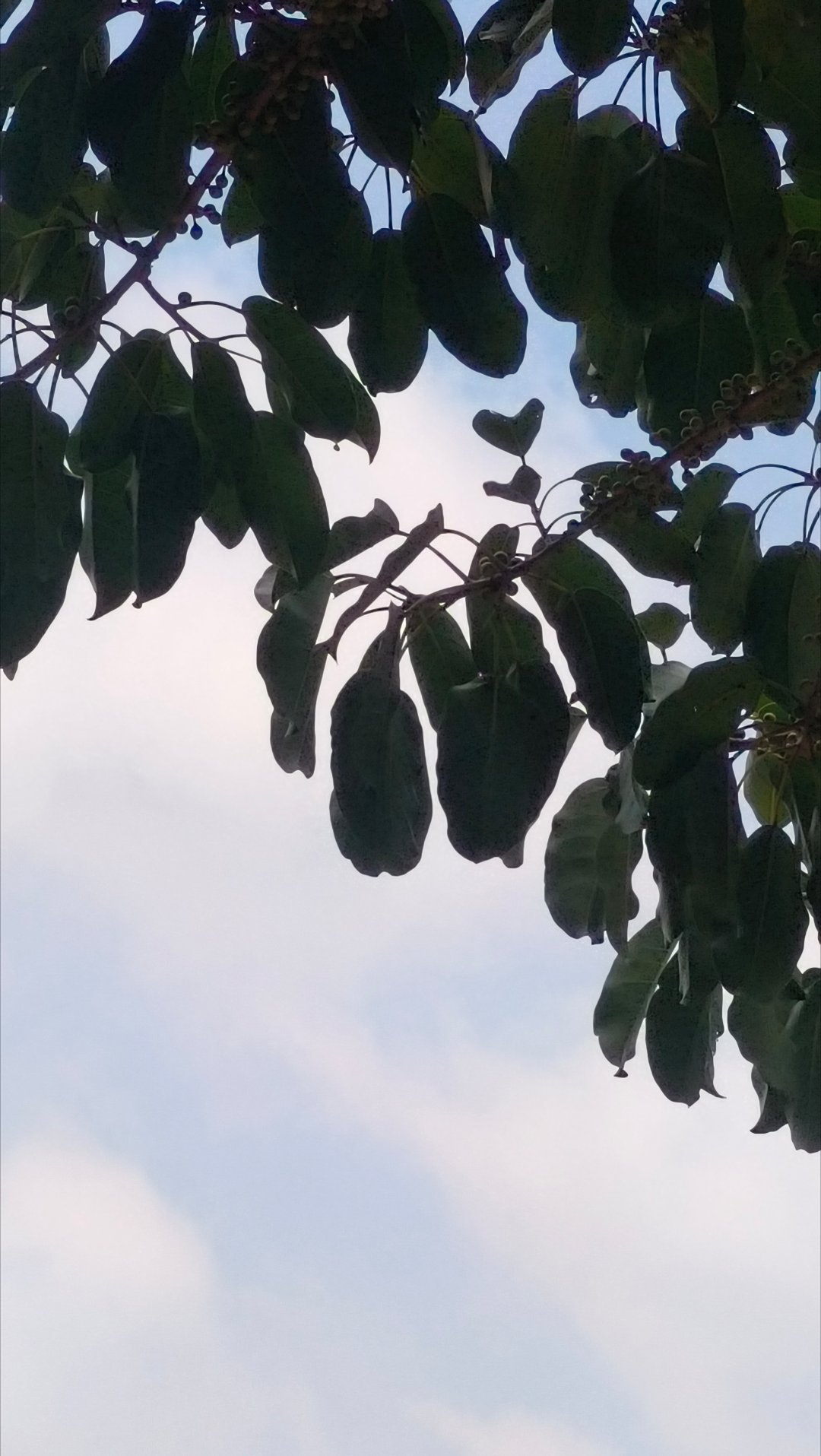 不知道有没有人发现💕 