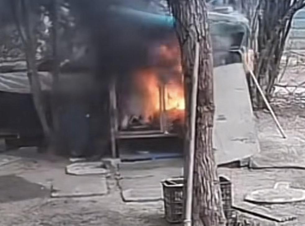 两个小孩子故意用火点燃狗笼，导致笼子中的萨摩耶被活活烧死，事后你一句不慎未免也太