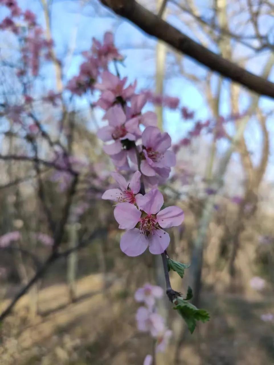 我也发现一个特别真实的事：
不是有钱就一定温柔，
有的人日子一顺，心反而更硬了。