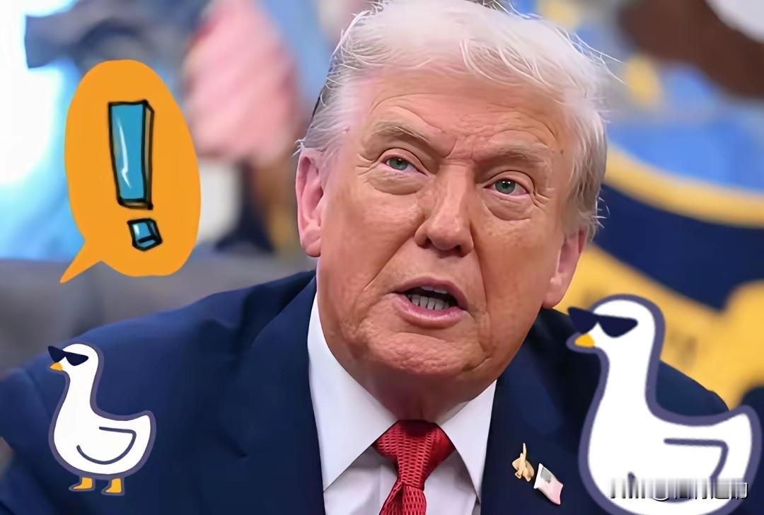 荷兰这次真没料到，中国反应这么快。他们自作聪明