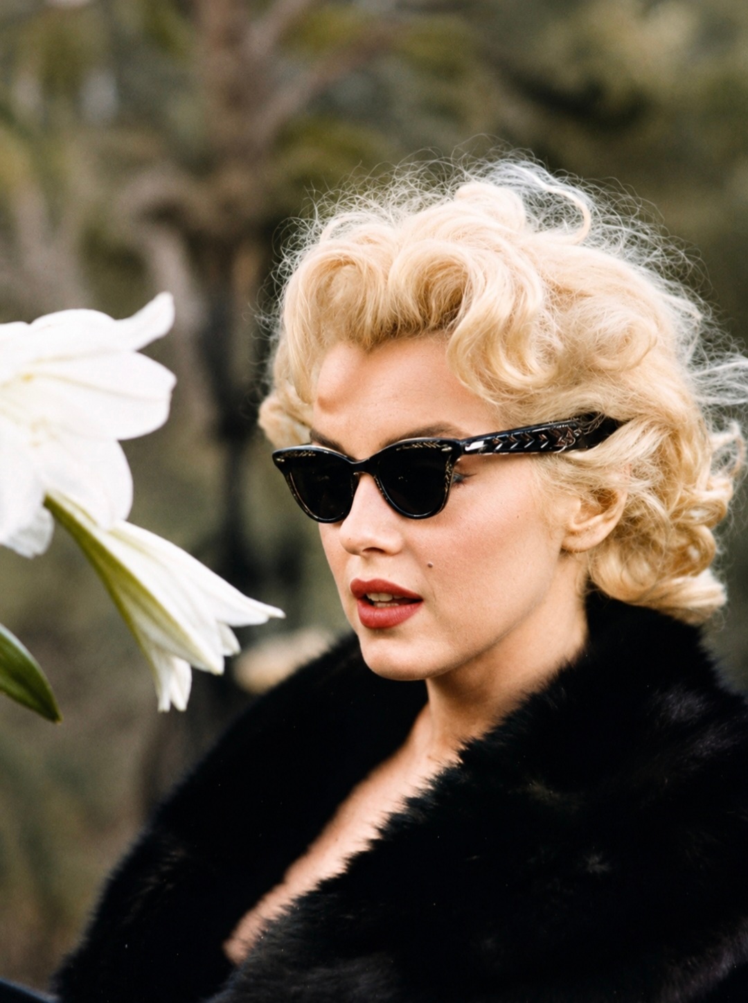 Marilyn Monroe，1955 ​​​