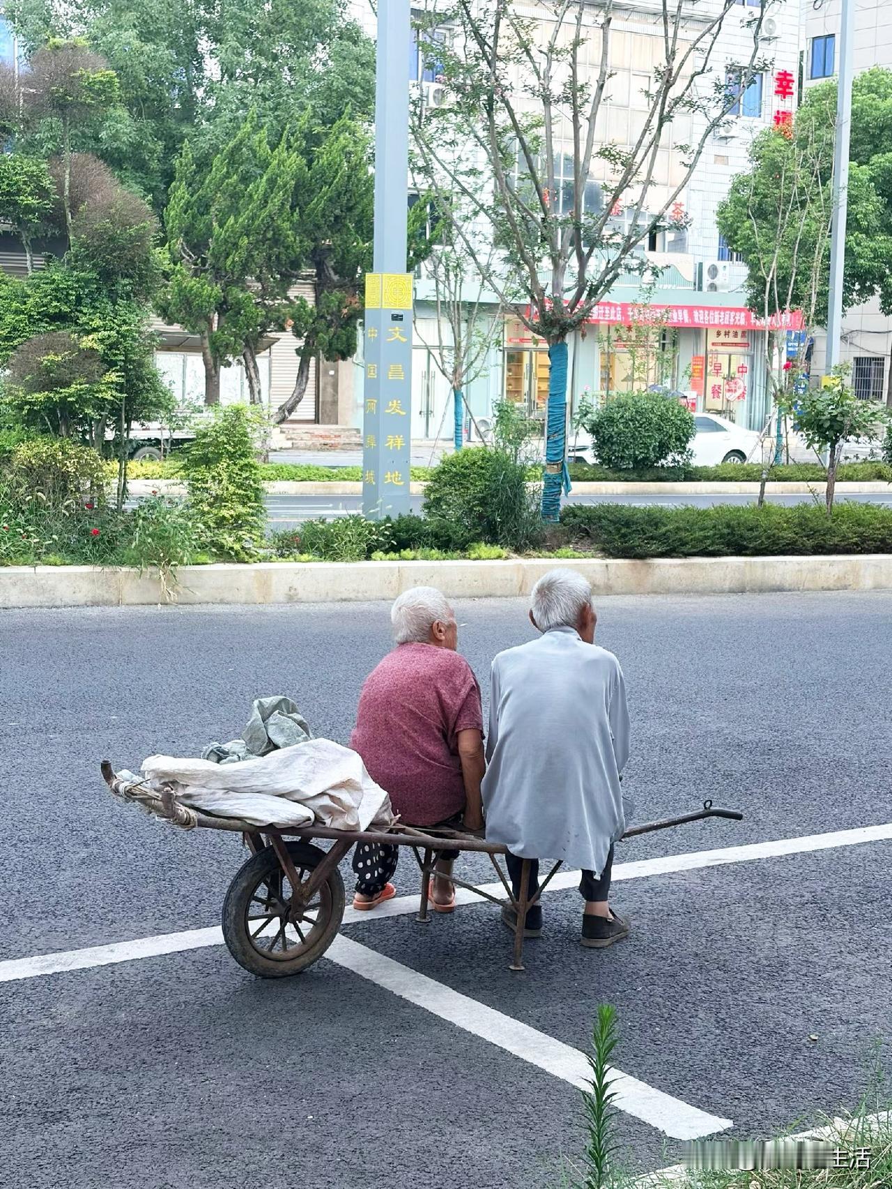 看到令人羡慕的一双背影：
一对白发苍苍的人，并肩坐在独轮车上。这才是真正的相守一