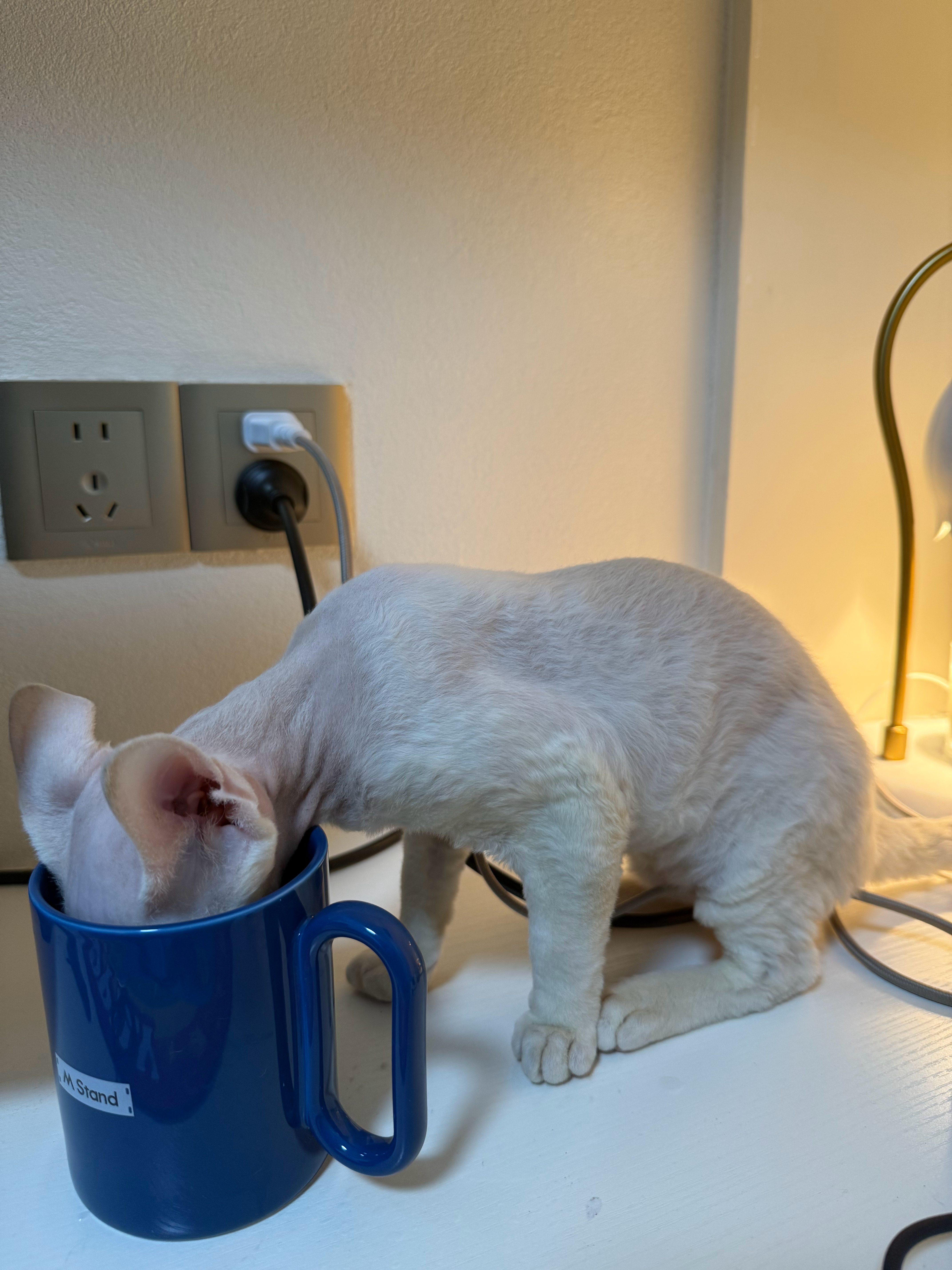 杯子里的水是好喝一些吗？ ​​​
