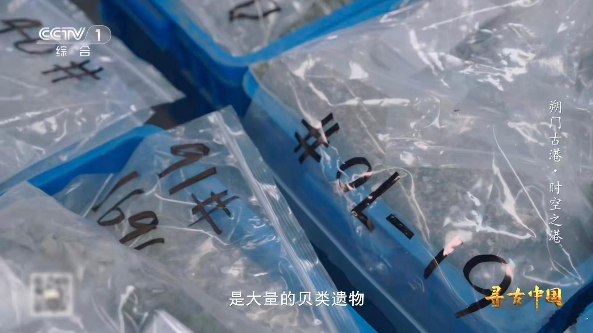 温州一千多年前就流行嗦螺了古人也吃血蛤原来温州人爱嗦螺是刻在DNA里的，千年前就