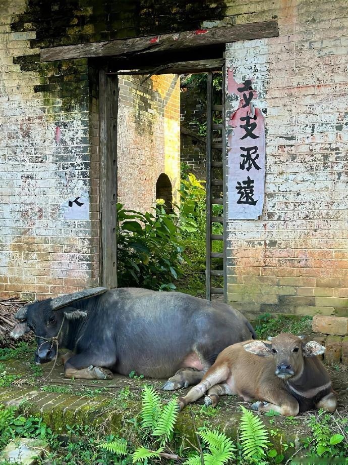我安排的计划已经考虑了诸多变化了，你们如果有更好的也就按自己的计划来。计划你的计