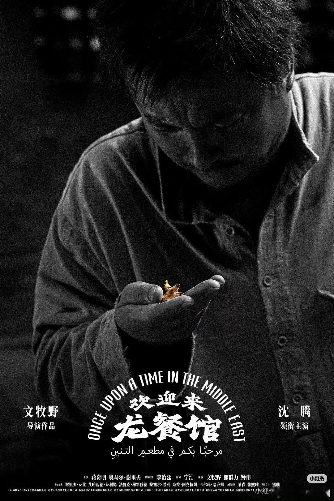 沈腾说未必能让观众和业内人士都喜欢沈腾手握415亿票房 手握415亿票房少了奖杯