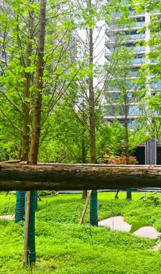 昨日（5月18日），北京二手房市场数据来了！另有好消息附后。

昨日（5月18日