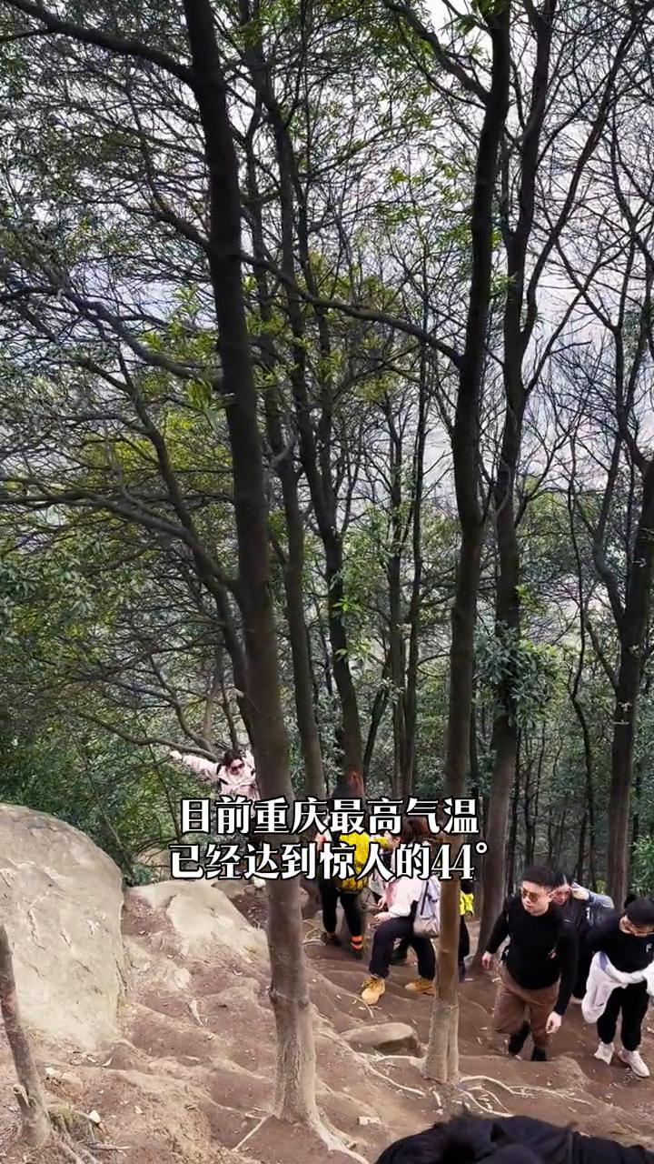 重庆封山公告正式封山。
重庆封山公告来了。因为连晴高温，目前处于森林火灾极高风险