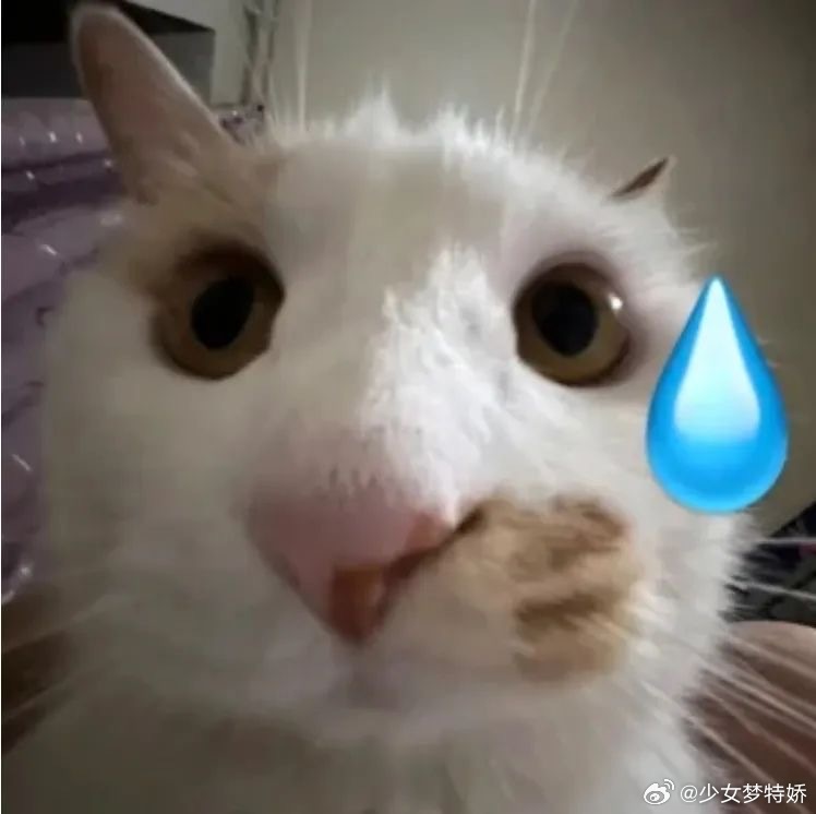 3个旧手机能换一台iPhone纯扯，不说手机配置型号在那边吹价格