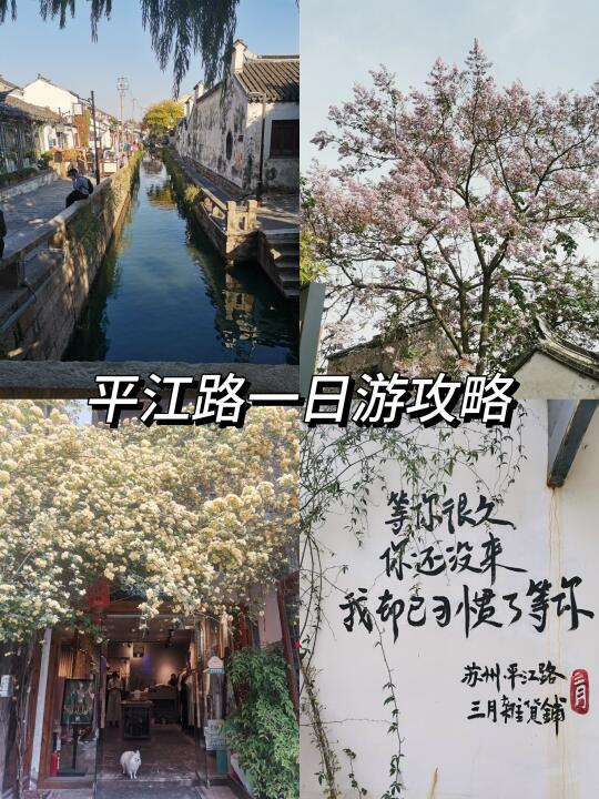 懒人苏州平江路一日游攻略来啦❗❗