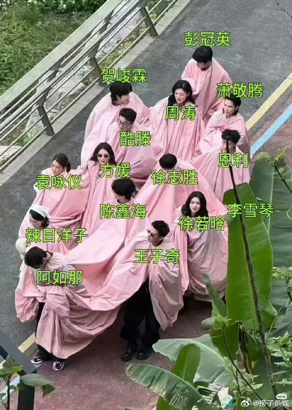 周涛首次参加真人秀综艺 真的狠狠期待住了！周涛第一次上真人秀《五十公里桃花坞》，