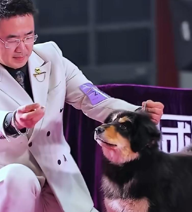 以往只觉得霍思燕嫁得佳婿，如今才发觉她竟是全家的中流砥柱。
她领着霍蜜蜡、杜尔衮