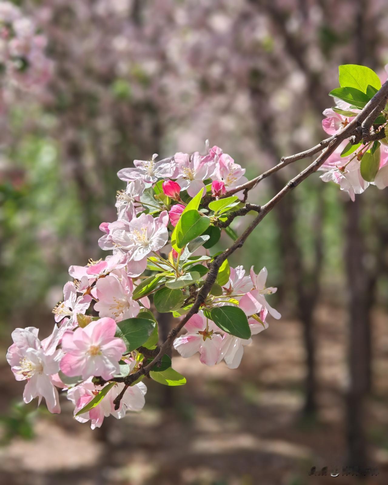 讲一个真实的关于我太爷爷的故事，不知道这算不算是轨打墙

这说起来得是100多年