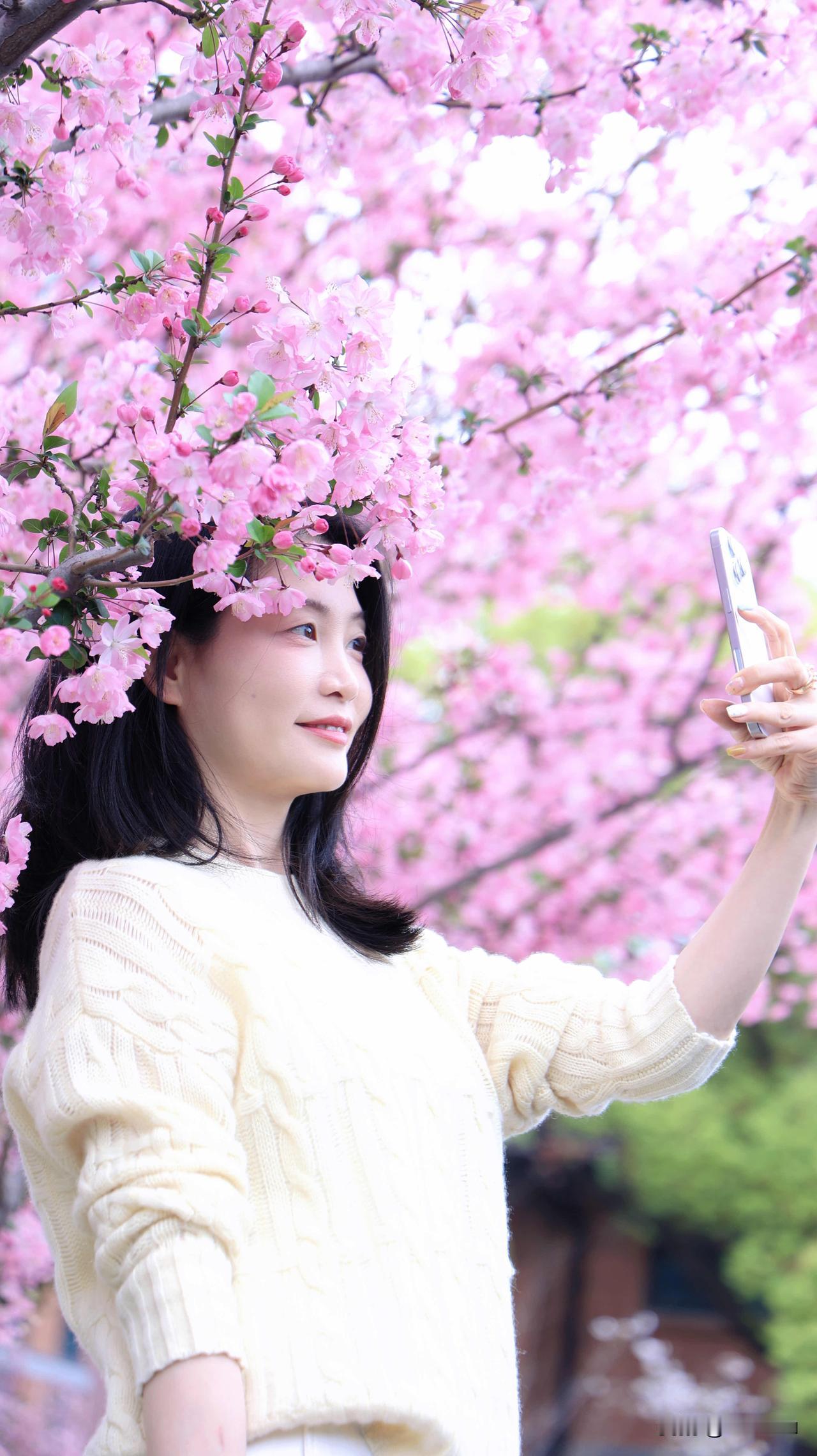 公司门口的垂丝海棠，必须来一组季节限定人像照，