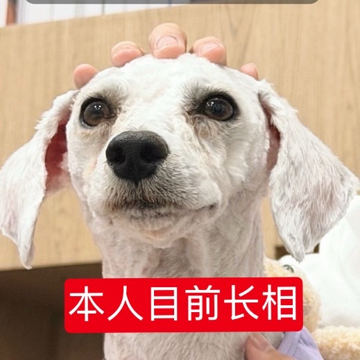 分享图片 