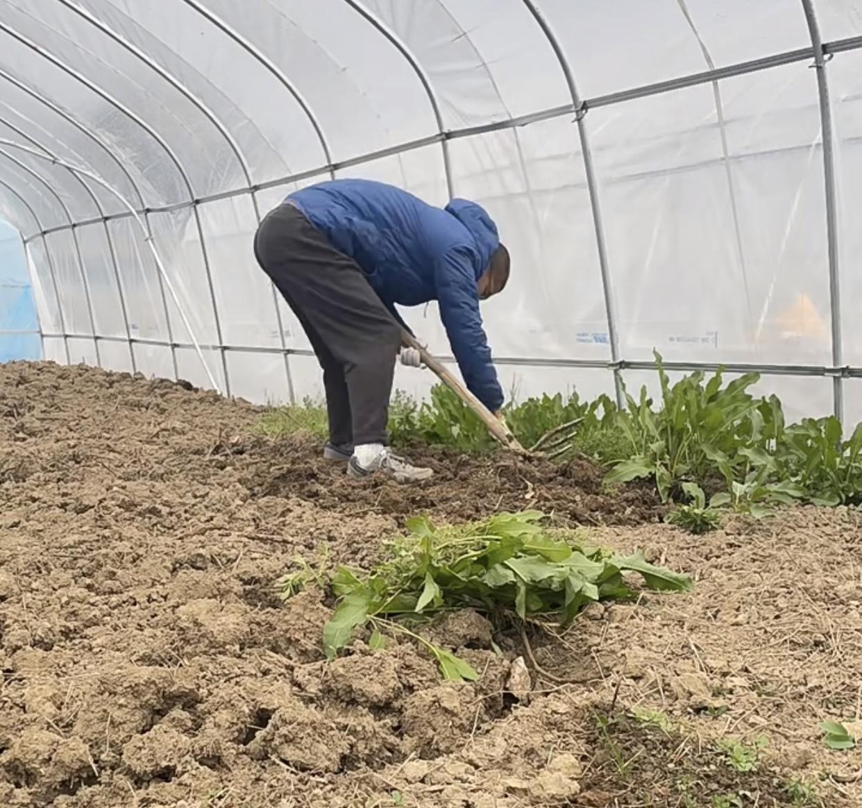 刷到这话题，
心里挺有感触的。
先跟大家聊聊国家的养老政策：现在不仅有基础养老金