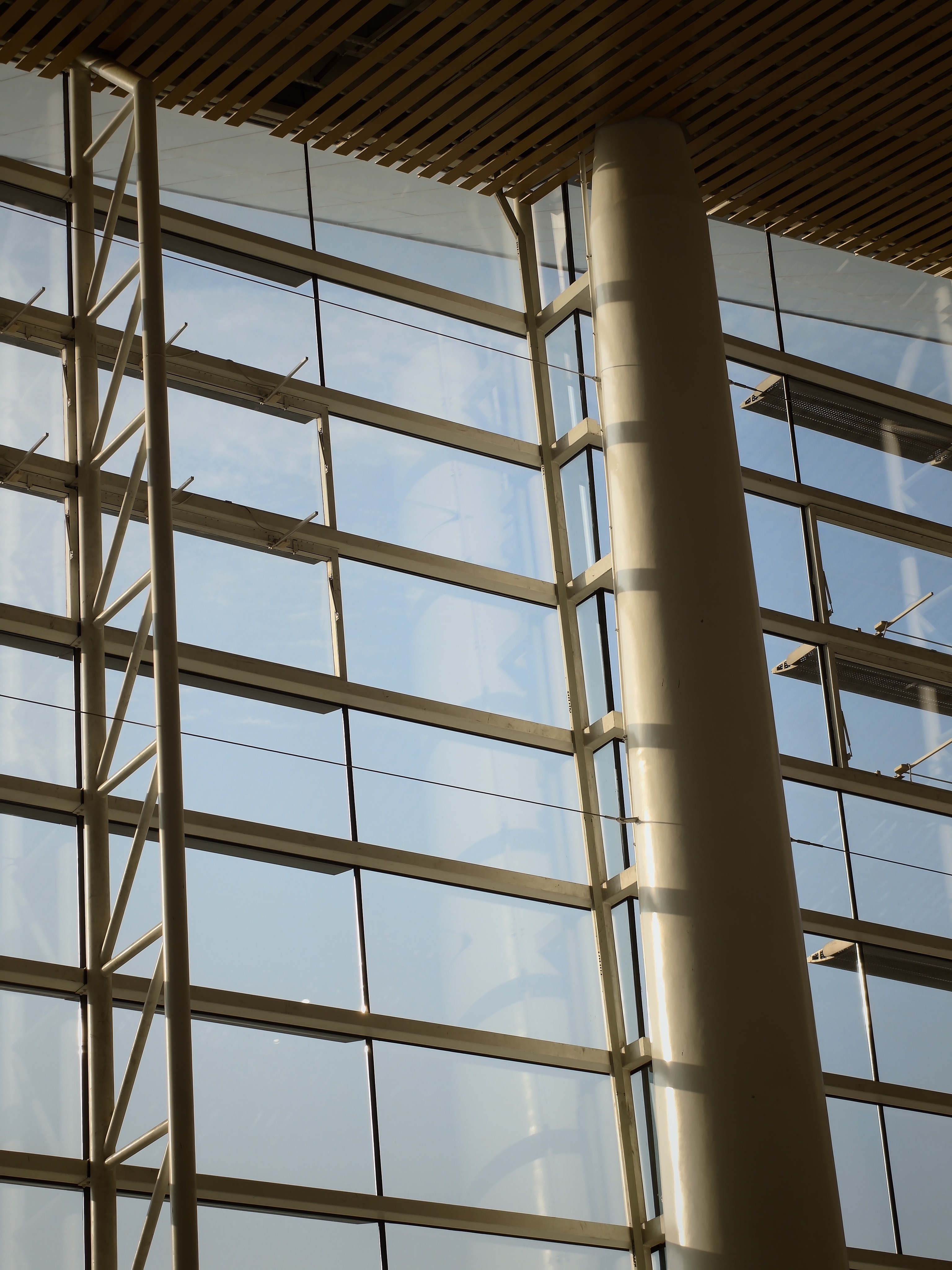 一加15 随手拍 这代影像表现很不错，一加有史最强[喵喵]📷一加15 ​​​