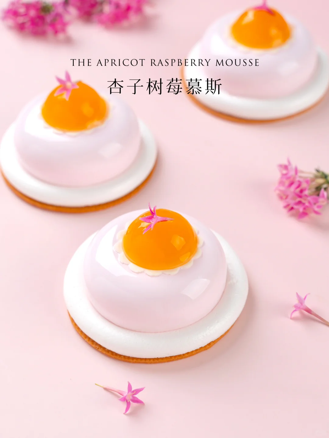 清新酸甜的杏子树莓慕斯