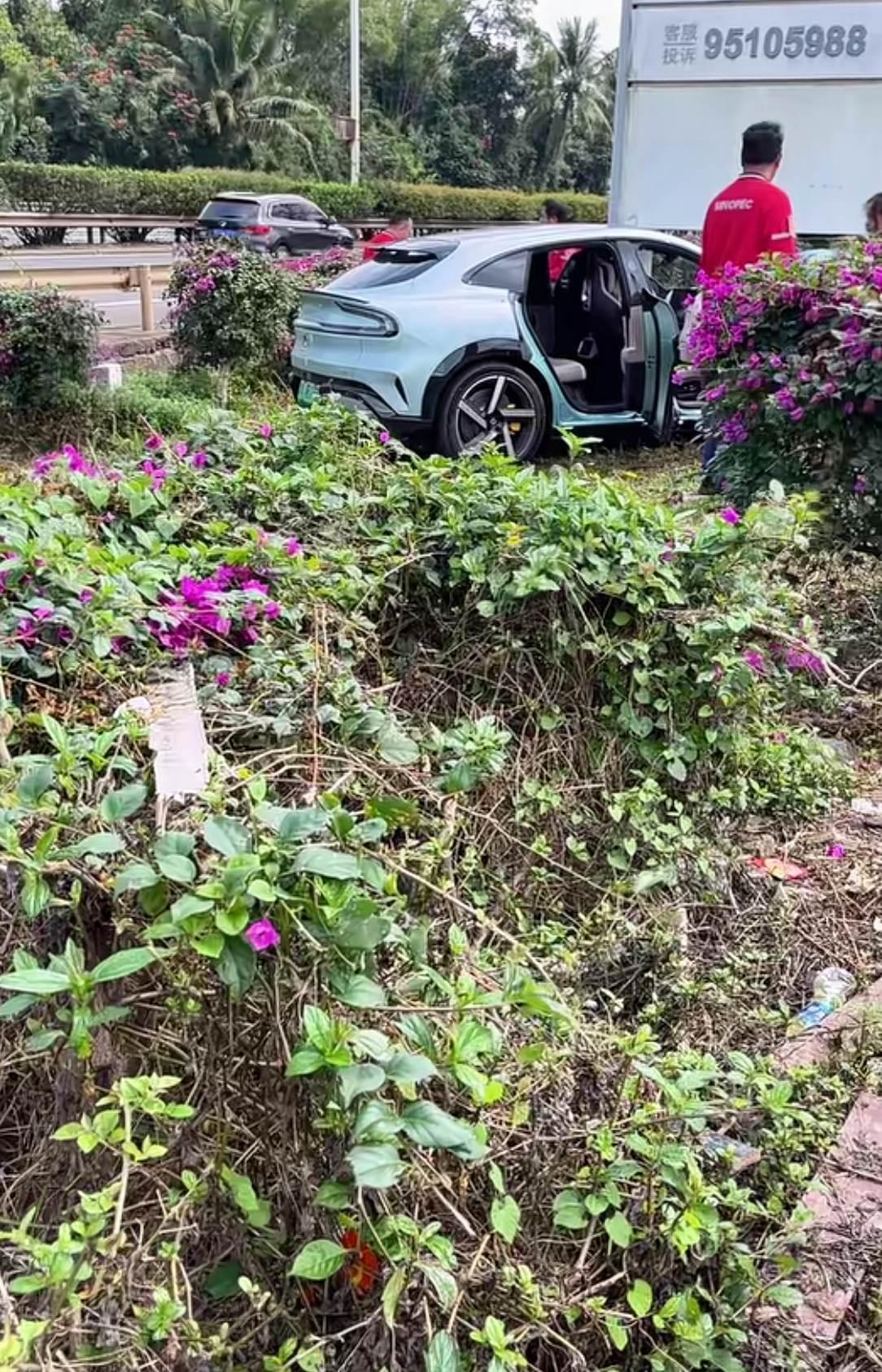 这个春天我在场 抖音月付 北京汽水音乐节 三角梅 民间实拍