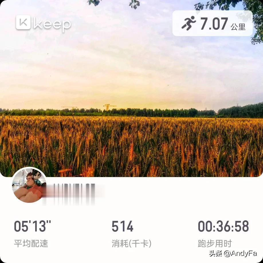 珍惜你的低谷期，你会看到很多真相，时间能渡的都是愿意自渡的人，没有谁的人生一帆风