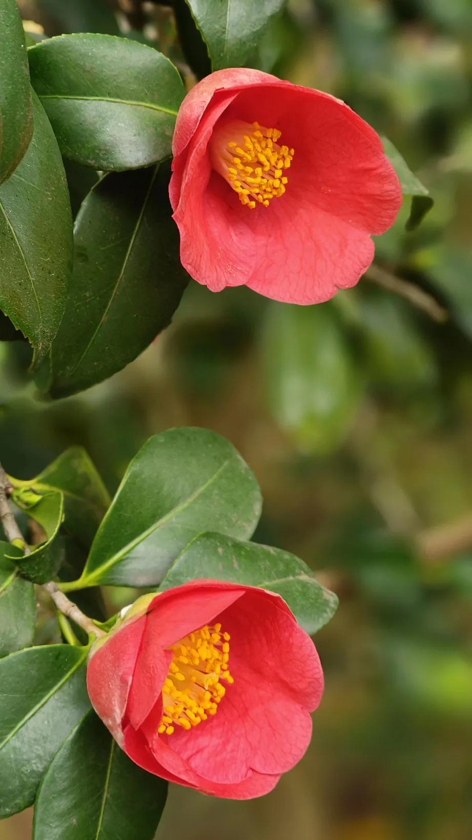 60岁的我越来越喜欢清静了。
上班时，我不与同事聊八卦，也不跟着瞎起哄。
在家时