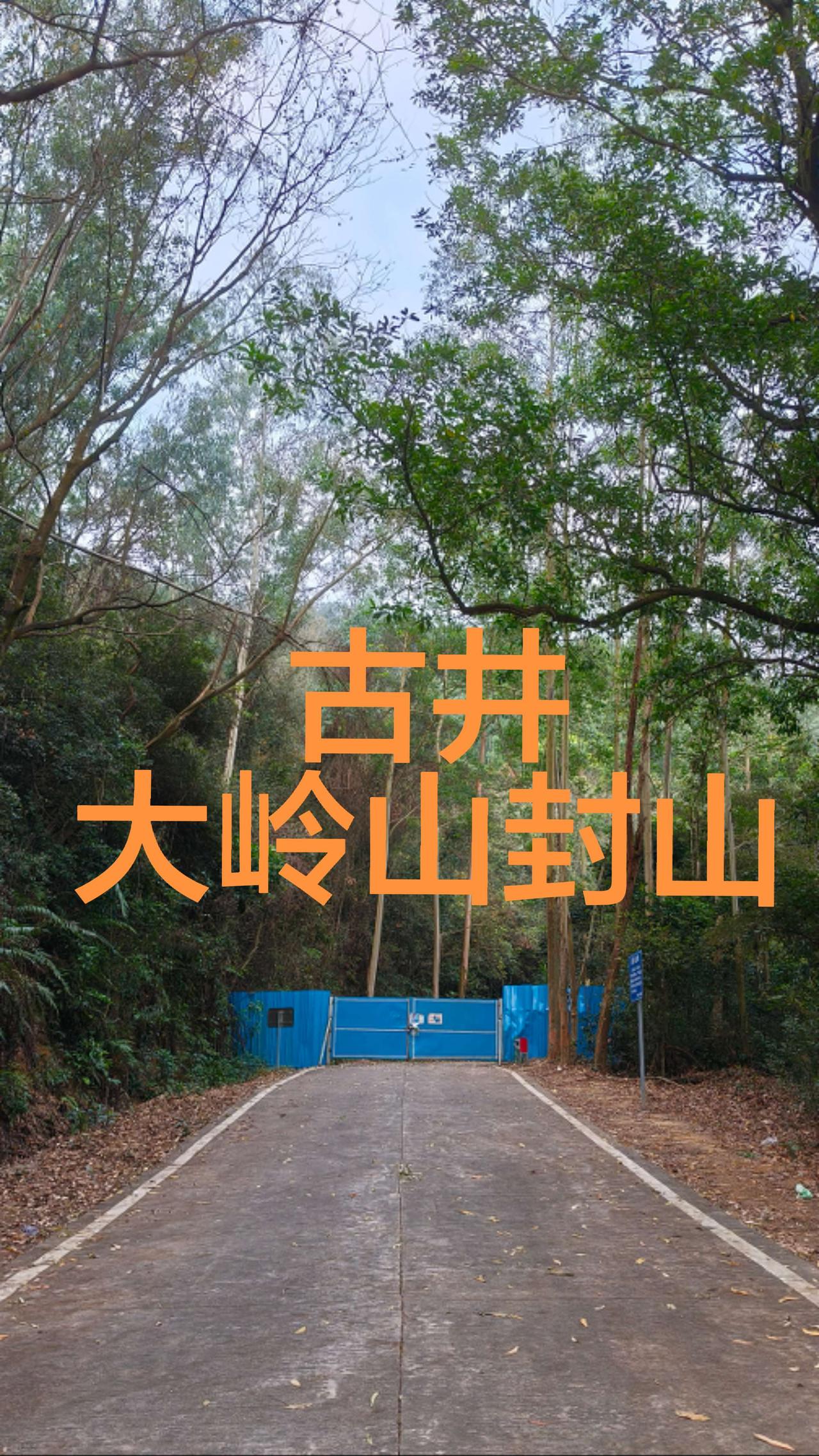 古井大岭山封山，不能开车上山看日落了，怎么自然风景都不能看了吗，哪里都封黄昏日落