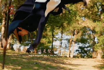 杨洋杨洋你好威风啊他没有那些花里胡哨的耍帅动作，只有招招狠戾的实战搏杀。那种黑金
