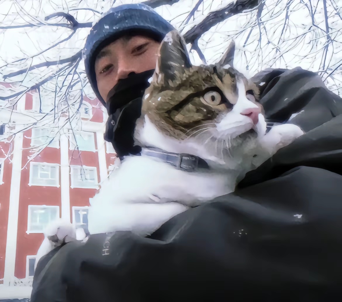 赵朔西行漫记 悟空 壁纸｜地球是“悟空”的猫砂盆        悟空：“那天我捡