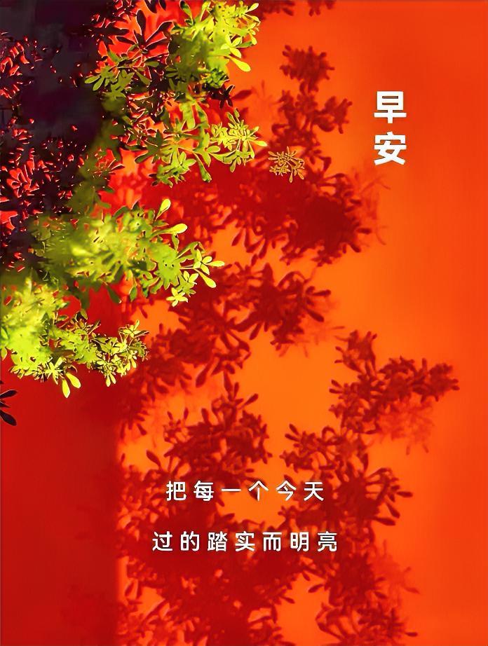 晨光穿透枝叶，橙红暖意洒满心间，早安！把每个今天，过成踏实而明亮的小确幸。