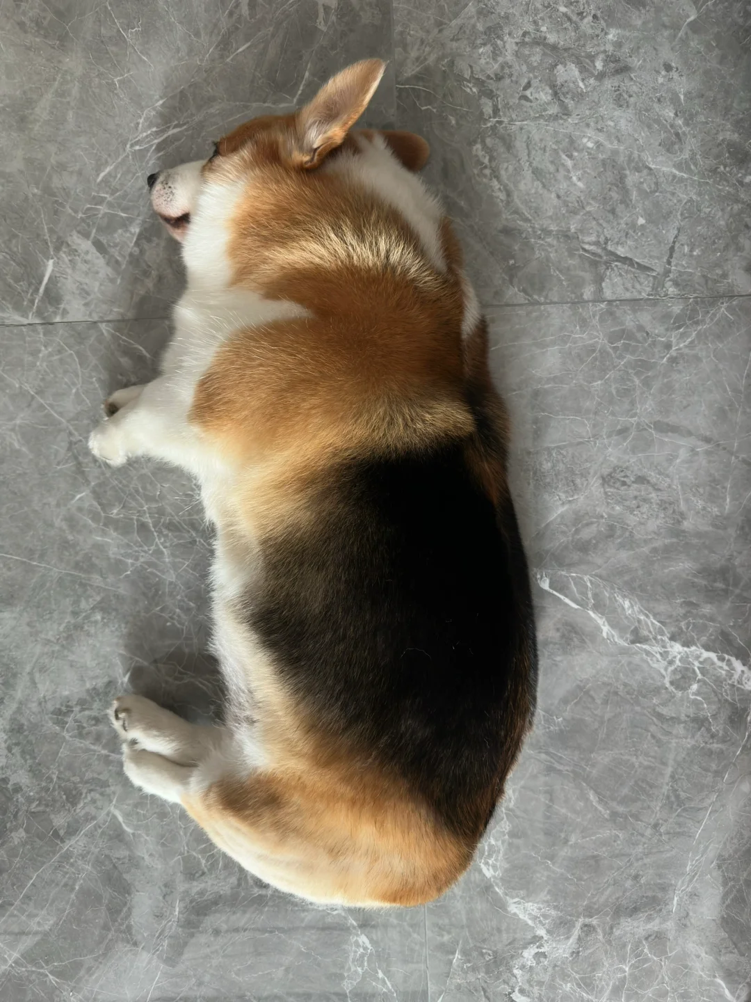 一碗纽顿下去，惊呆了...