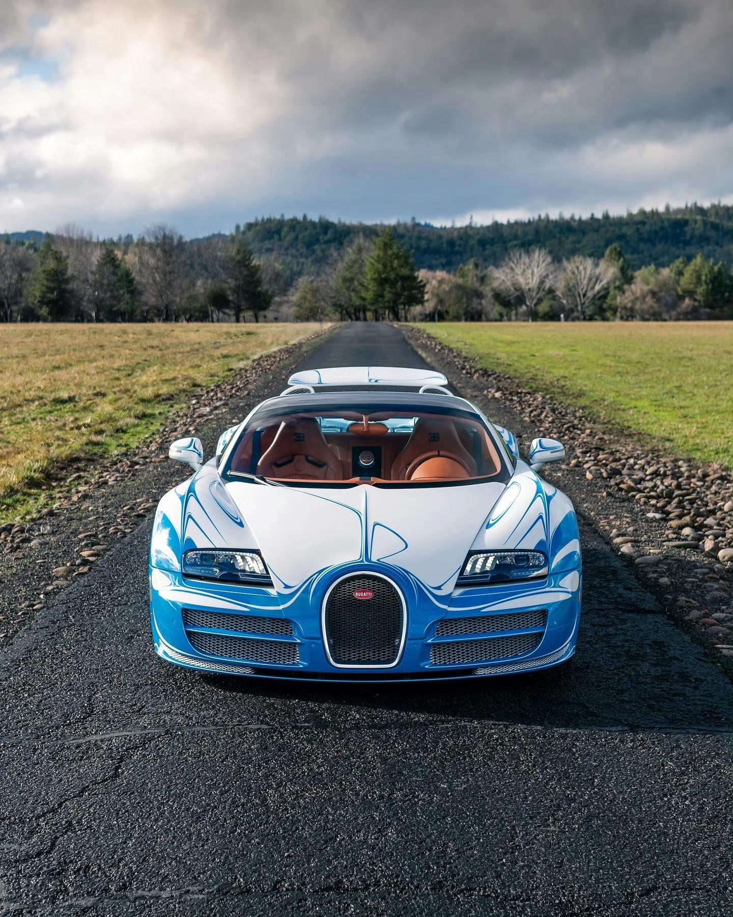 🇺🇸｜Bugatti Veyron Grand Sport Vit...