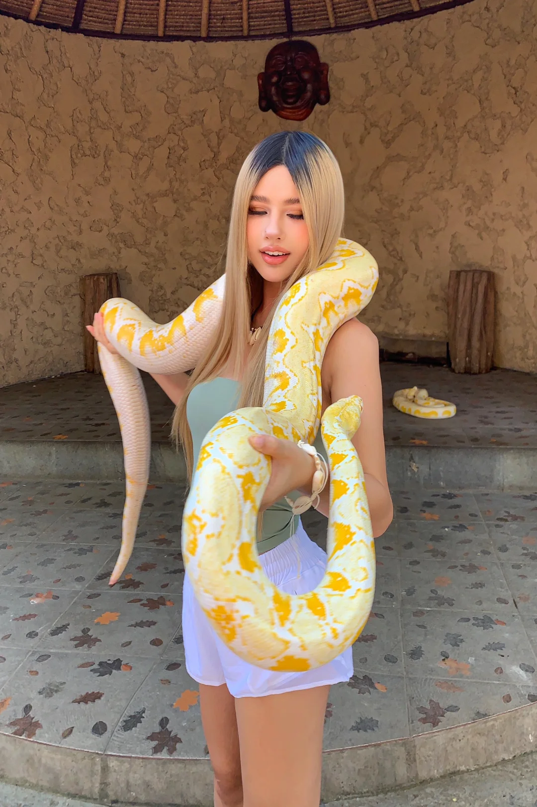 介绍一下 这是我的“新朋友”