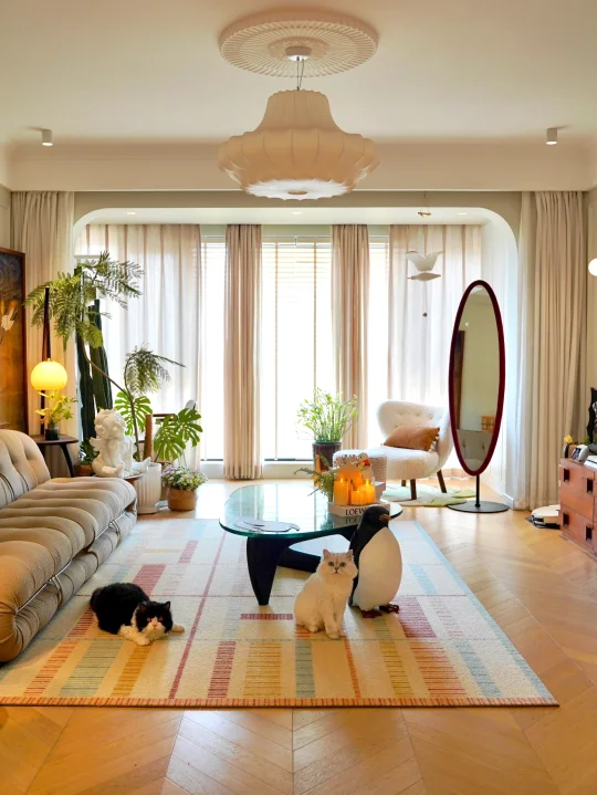 小县城的家｜和小猫一起宅家的幸福感🥰