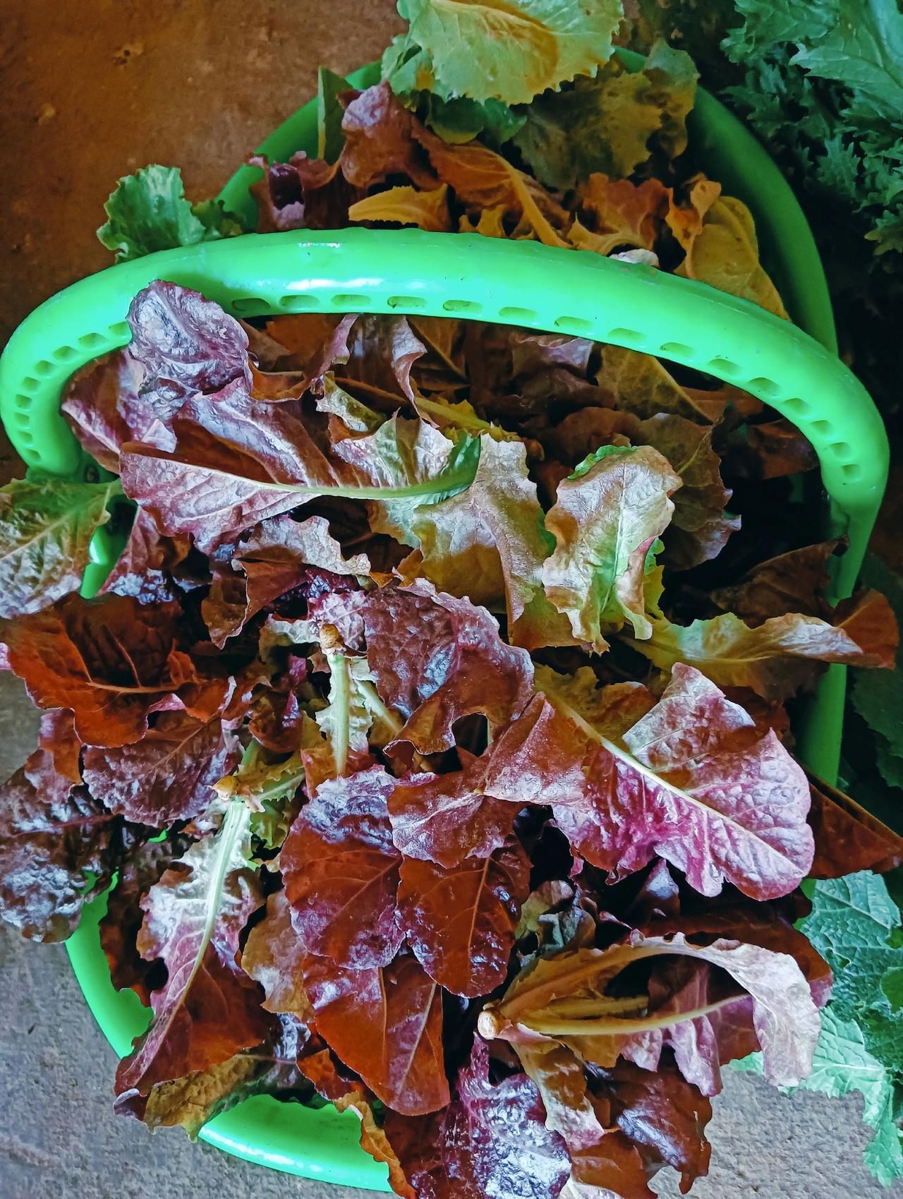 客户买到的就是，真诚和诚信。