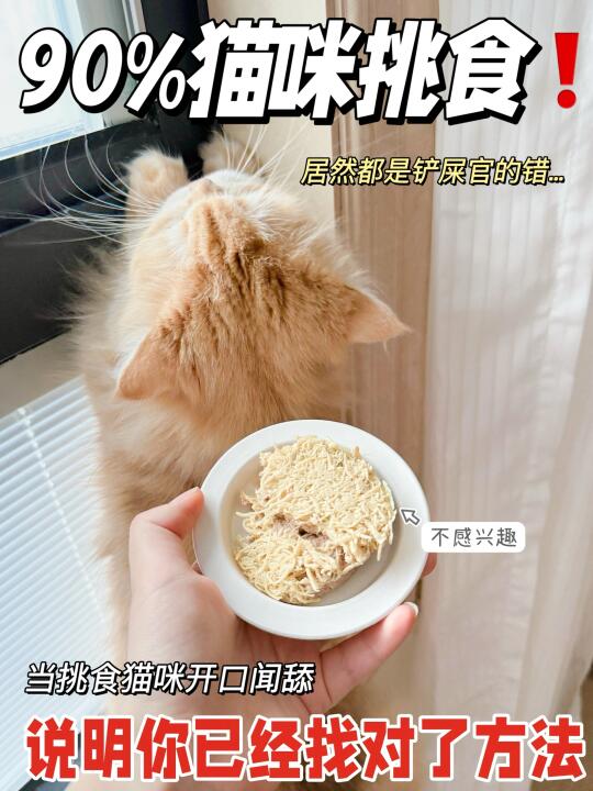 谁懂？90%猫咪挑食居然都是铲屎官的错…