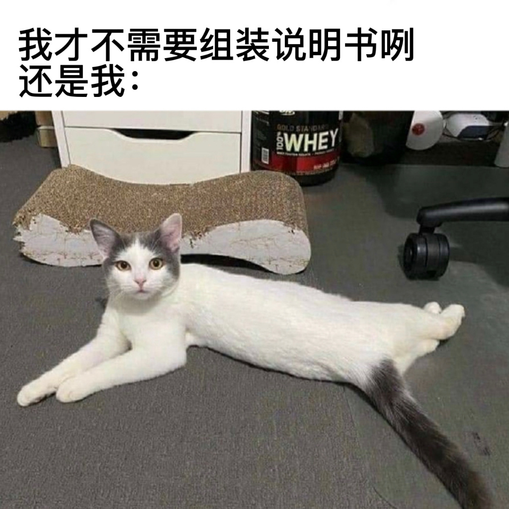 将就一下吧#今日memes# //#我的春日狂欢日记# ​​​