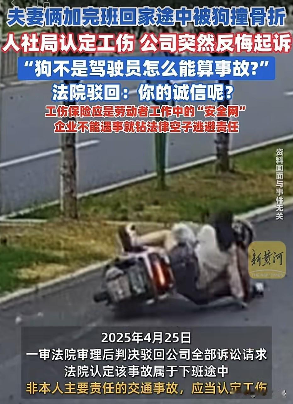 广州，一对夫妻加班到很晚，下班时骑着电动车正常行驶中，突然从马路一侧窜出来一只流
