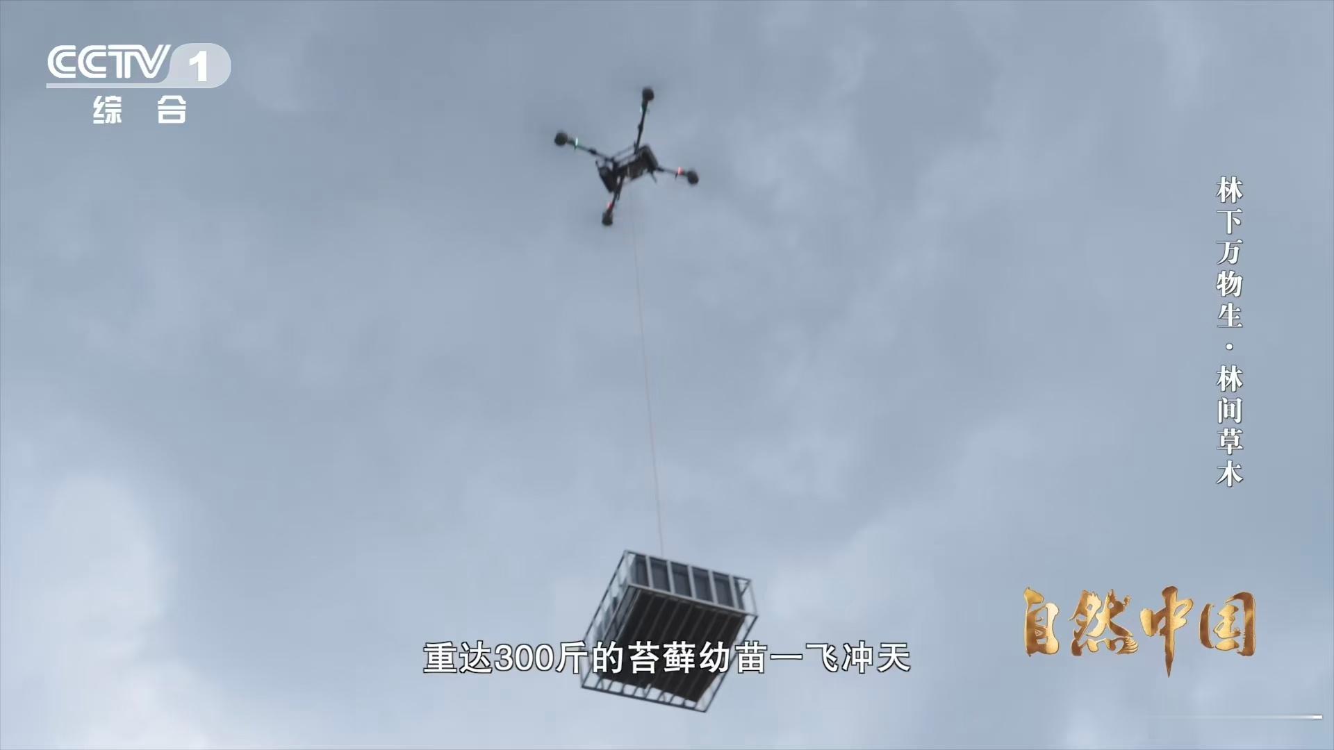 一架架无人机在中国农村运货 看着一架架无人机在中国农村的天空中忙碌地运货，我们仿