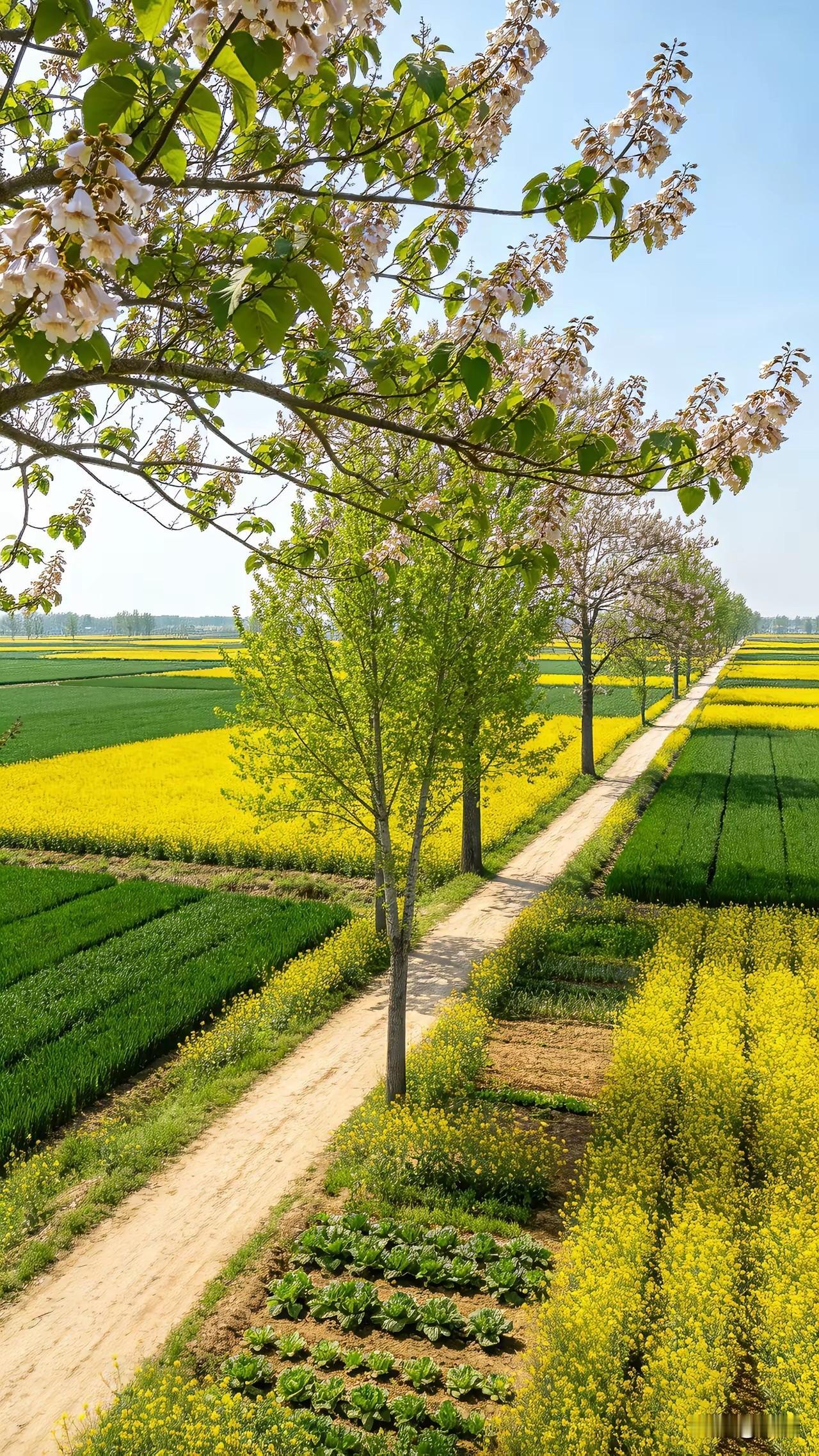 山风拂过肩头
 
山风拂过肩头
带着春天刚醒的温柔
不慌不忙，不问归途
只把一身