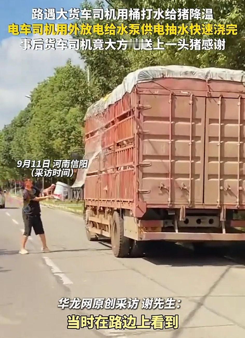 万万没有想到，河南信阳，一男子开车行驶途中，路遇一大货车司机用桶在路边打水给他拉