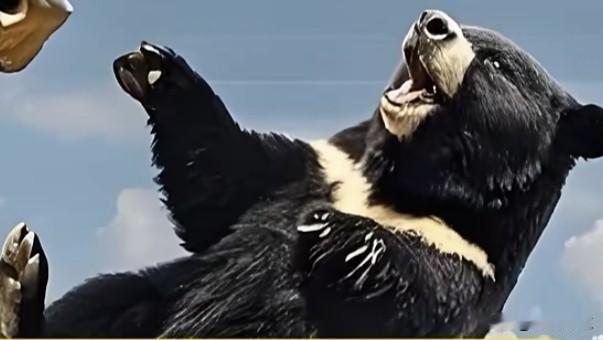 明天大A怎么走？
今天是低开高走回落震荡走势，缩量486亿，交易额跌破2万亿。5