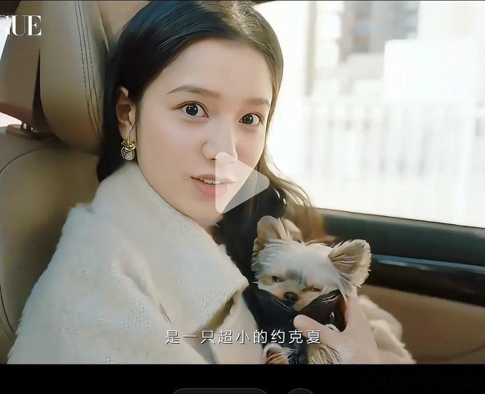 我们周也也是爱狗人士，两个都好可爱哦 