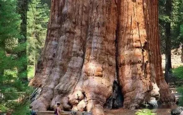 如果真有5万亿资金，不建议投入股市，不建议投资拉动刺激，悉数用于民生托底，好好休